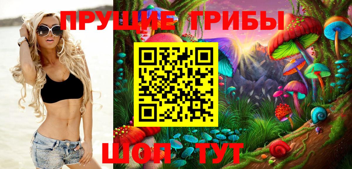 Галлюциногенные грибы Psilocybe Мичуринск