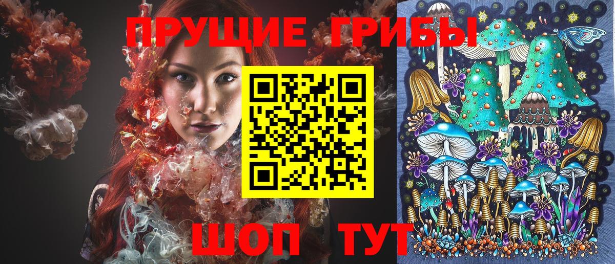 Галлюциногенные грибы прущие грибы  купить наркотики цена  Псилоцибиновые грибы GOLDEN TEACHER  Мичуринск  Вход с VPN 